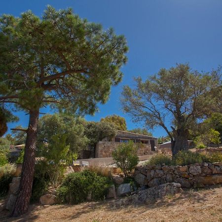 Villa bodri, maison en pierre avec vue mer et piscine chauffée LʼÎle-Rousse Esterno foto