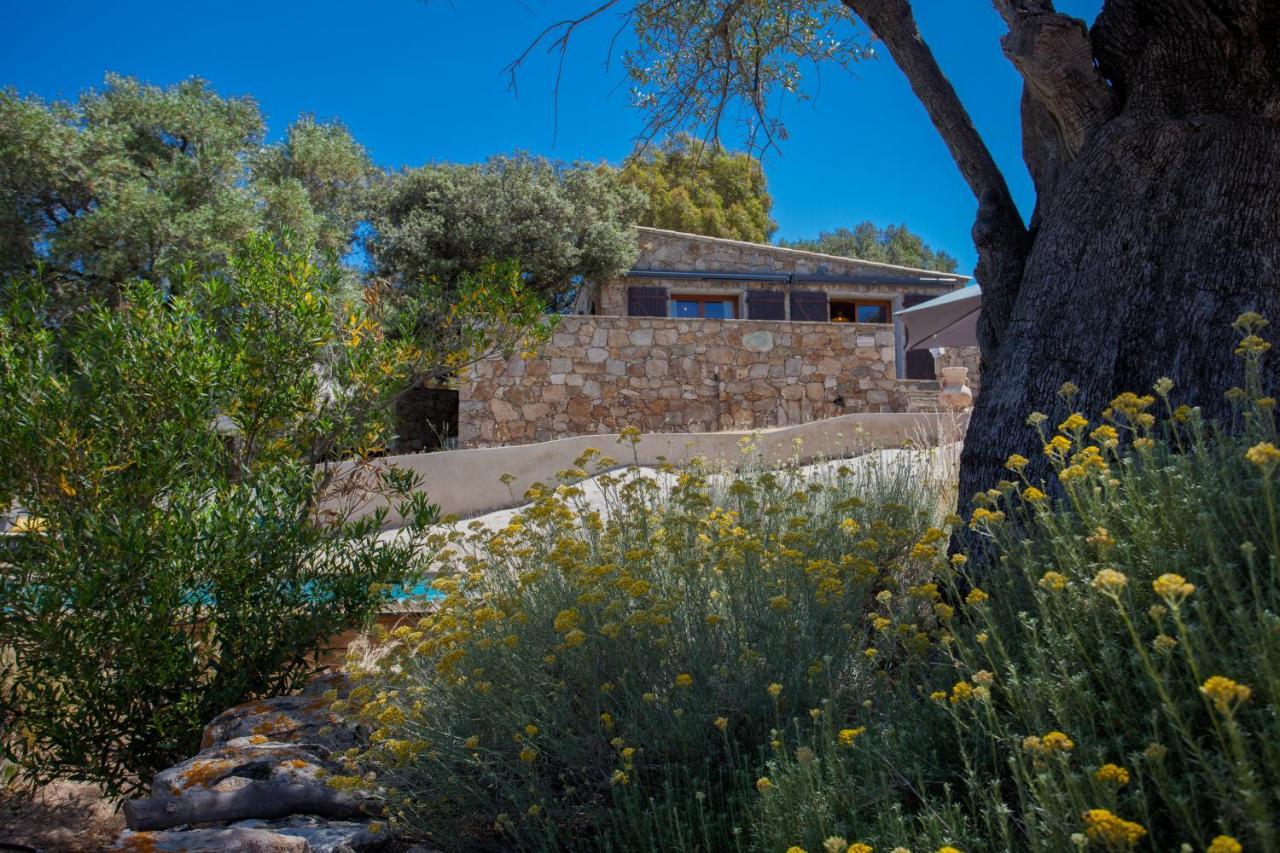 Villa bodri, maison en pierre avec vue mer et piscine chauffée LʼÎle-Rousse Esterno foto